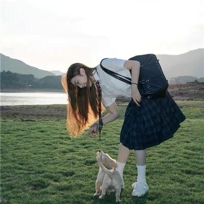 剧集短剧
